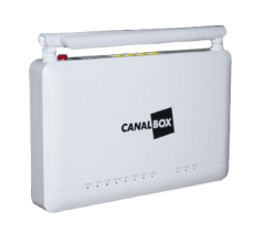 Img11 Removebg Preview